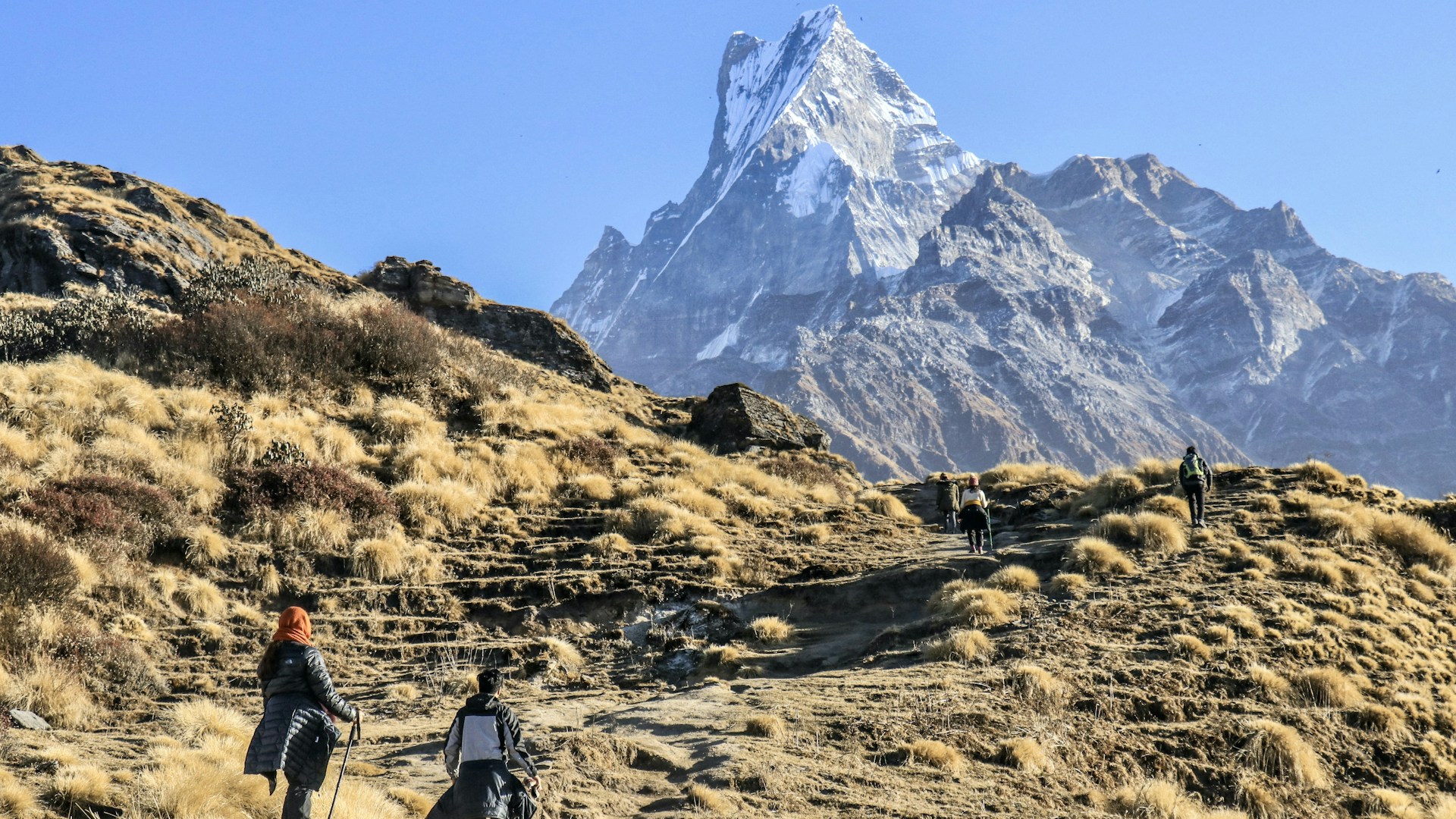 About Wander Warriors
