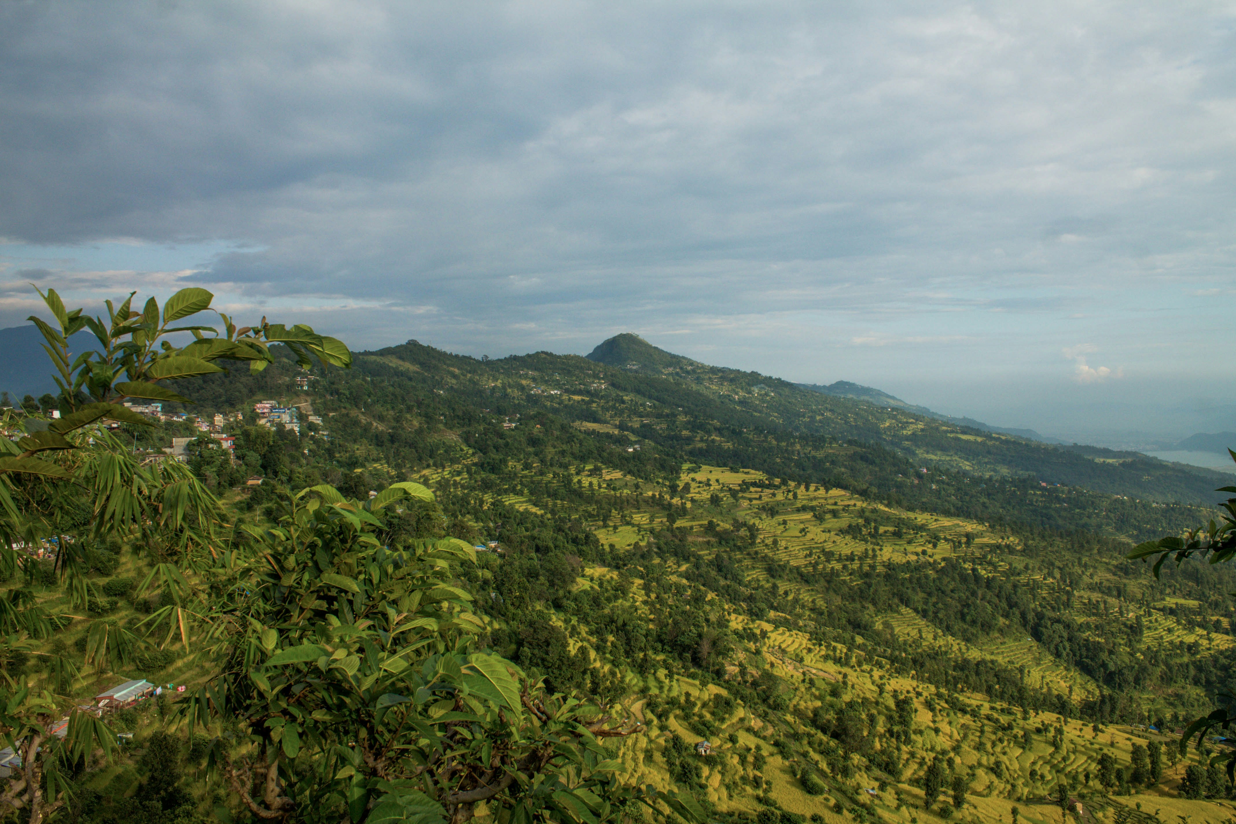 Ghorepani Poon Hill Trek - Image 4